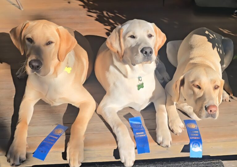 Meet Falling Waters Newest Staff